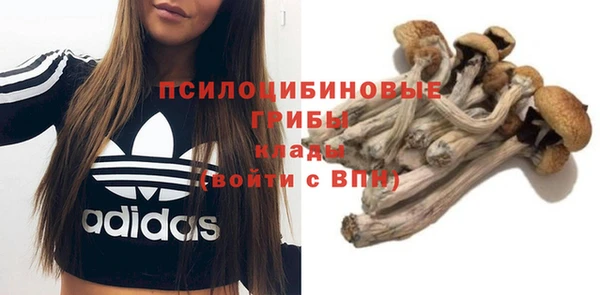гидропоника Бронницы