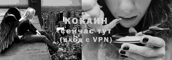 гидропоника Бронницы