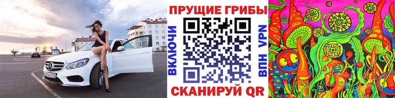 omg зеркало  Оренбург  Псилоцибиновые грибы MAGIC MUSHROOMS  наркотики 